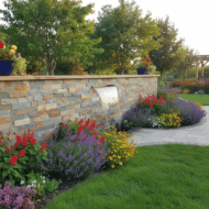 photoroom_20260308_225216